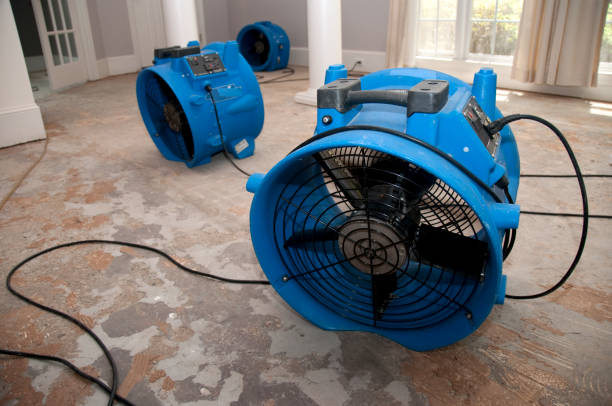 Best Carpet water damage restoration  in USA